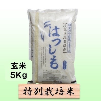【ふるさと納税】特別栽培米★玄米５kg 【ハツシモ】 お米 ブランド米 銘柄米 ご飯 おにぎり アッサリ 幻のお米 大粒 　お届け：2025年11月上旬～2026年9月下旬｜岐阜県池田町