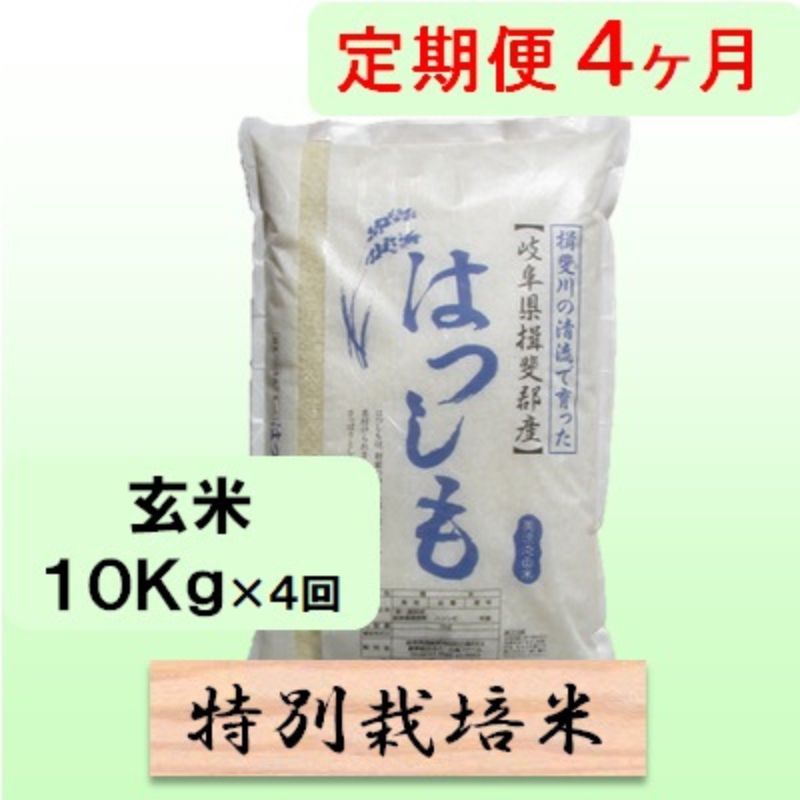 【ふるさと納税】特別栽培米★[定期便] 4カ月★毎月 玄米10kg【ハツシモ】 お米 ブランド米 銘柄米 ご飯 アッサリ 幻のお米 大粒　お届け：2025年11月中旬～2026年10月下旬まで