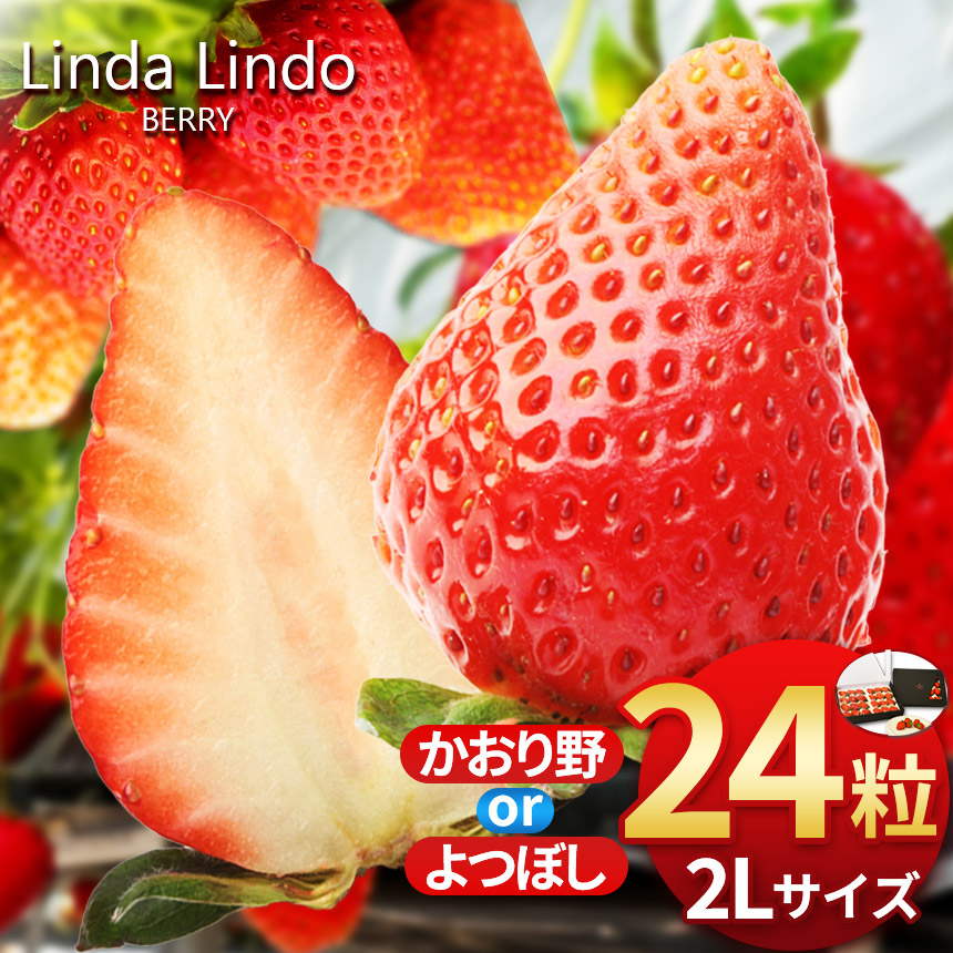 【ふるさと納税】いちご Linda Lindo BERRY 2Lサイズ 12粒x2 計24粒 | かおり野 よつぼし 苺 イチゴ 季節限定 岐阜県 北方町 送料無料 いちご プレゼント 贈り物 ギフト 贈答