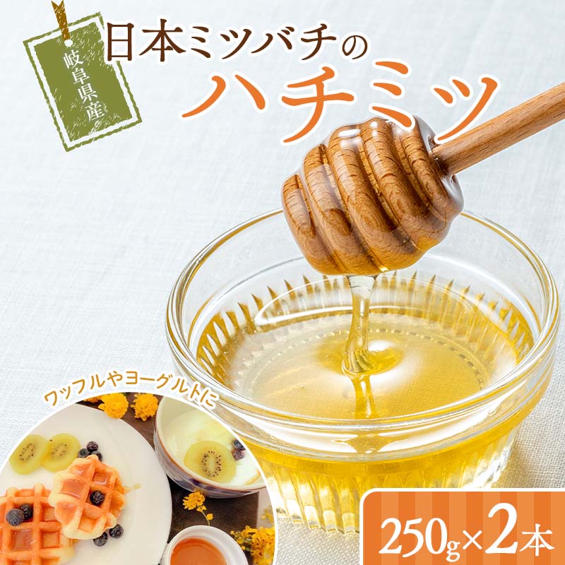【ふるさと納税】岐阜県産 日本ミツバチのハチミツ 250g 2本セット はちみつ ハチミツ 蜂蜜 日本ミツバチ 二ホンミツバチ 無添加 岐阜県 坂祝町 F6M-306