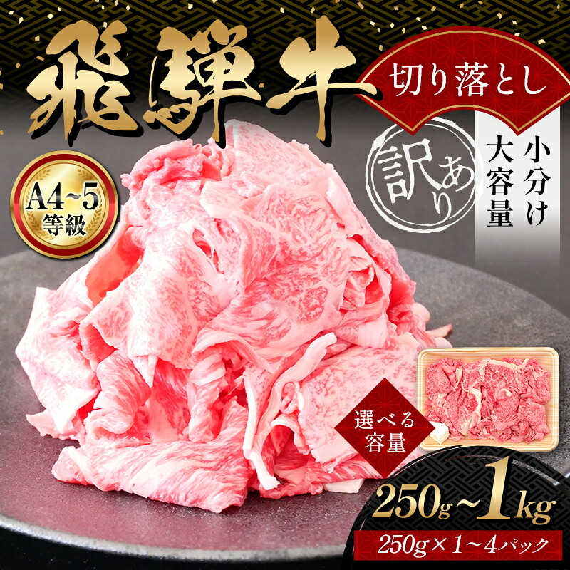 【ふるさと納税】\選べる容量/A4等級以上 飛騨牛 焼肉 切り落とし 250g 500g 750g 1kg 牛肉 ブランド牛 肉 切落し 訳あり 商品 ワケアリ 不揃い 大容量 切り落とし きりおとし 小分け 冷凍 ネオプライムヒグチ 食品 訳有 焼肉セット 焼肉用 選べる 肉のひぐち F6M-328var