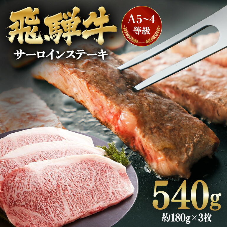 【ふるさと納税】 飛騨牛 A5～4等級 サーロインステーキ3枚 約540g (約180g×3枚) │ 国産 牛肉 和牛 ブランド ステーキ C-2/A-8