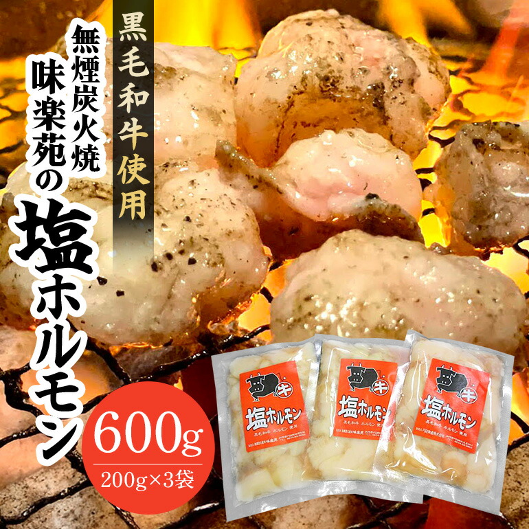 【ふるさと納税】味楽苑の塩ホルモン 600g (200g×3袋)│黒毛和牛 ホルモン 牛 小分け 冷凍 さっぱり 塩味 牛ホルモン 和牛 焼肉 ホルモン焼き ホルモン炒め もつ鍋 焼肉用 おつまみ 料理 味付 パック お手軽 簡単調理 岐阜県 川辺町 (A-13/A-1)