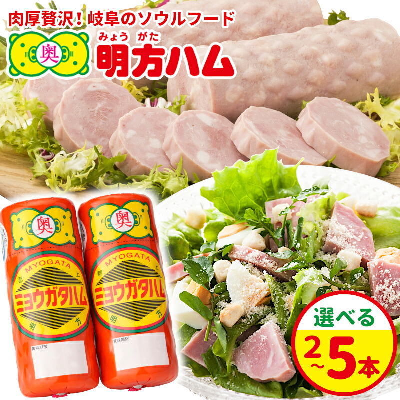 【ふるさと納税】選べる本数 明方ハム 2～5本 国産 豚肉 プレスハム ハム ギフト 贈り物 お祝い 本格ハム ソーセージ ウインナー 高級 人気 詰め合わせ セット 簡単調理 お弁当 朝食 加工肉 JAめぐみの｜岐阜県七宗町 15,407円