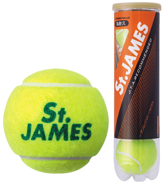 ふるさと納税】硬式テニスボール1缶4球入り×30缶（120球）【1