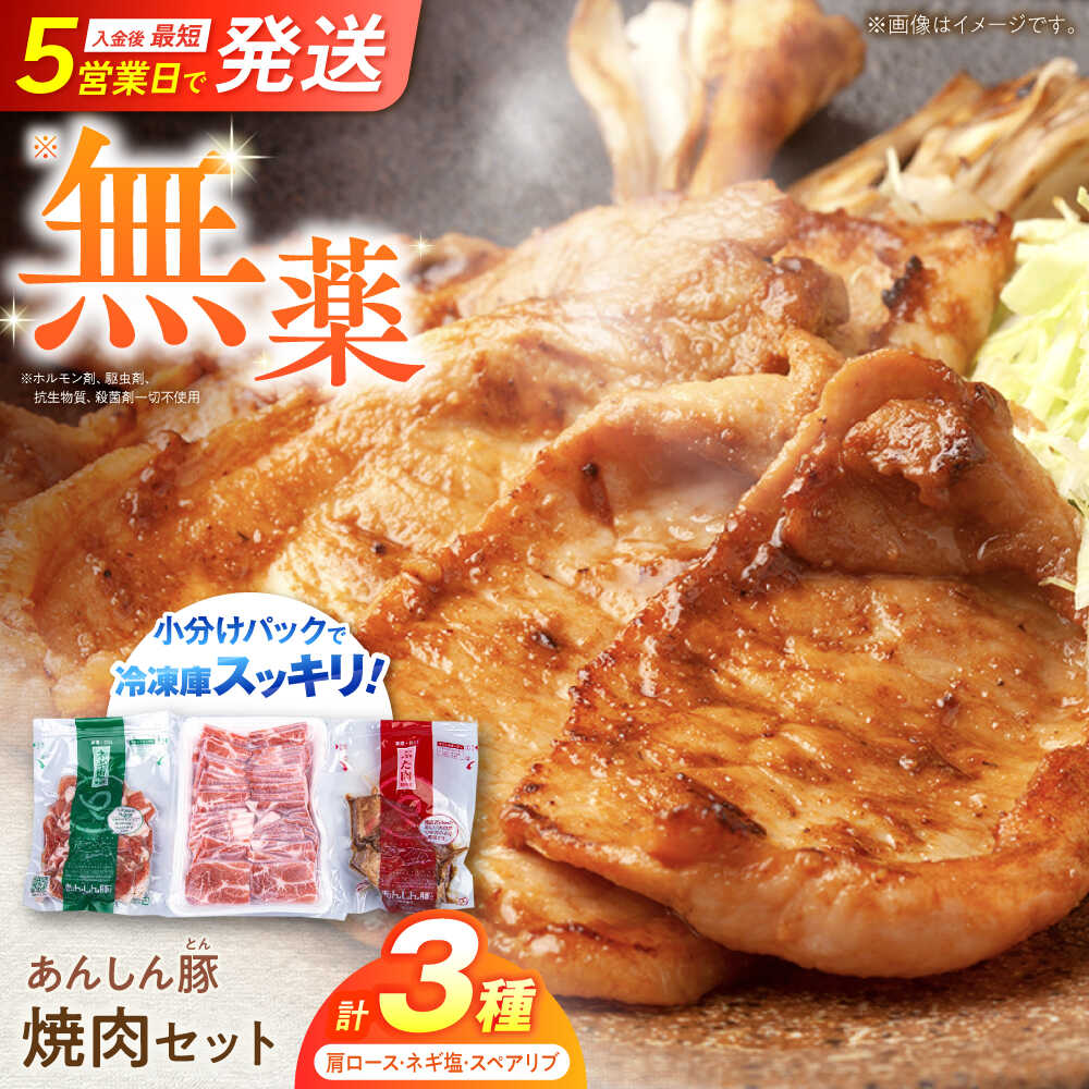【ふるさと納税】あんしん豚 焼肉セット 豚肉 ロース 国産 白川町 / 藤井ファーム[AWAF005] 小分け 小分けパック バーベキュー BBQ 焼肉 焼肉用 食べ比べ ギフト 焼肉セット美味しい セット 冷凍 リピート 味付き 簡単 料理