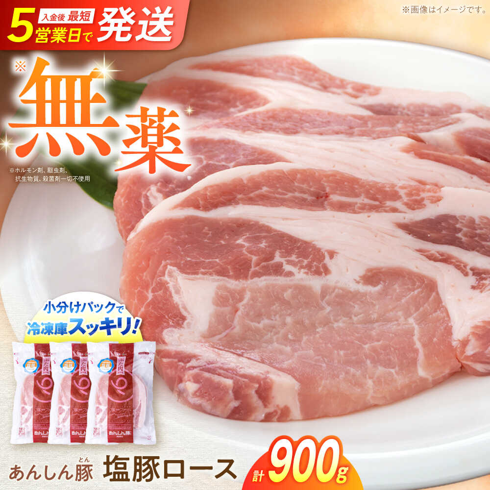 【ふるさと納税】《日本農業新聞一村逸品大賞にて金賞受賞》無薬育ちのあんしん豚 塩豚ロース 900g 豚肉 小分け 薄切り ロース 冷凍 白川町 / 藤井ファーム[AWAF053]｜岐阜県白川町