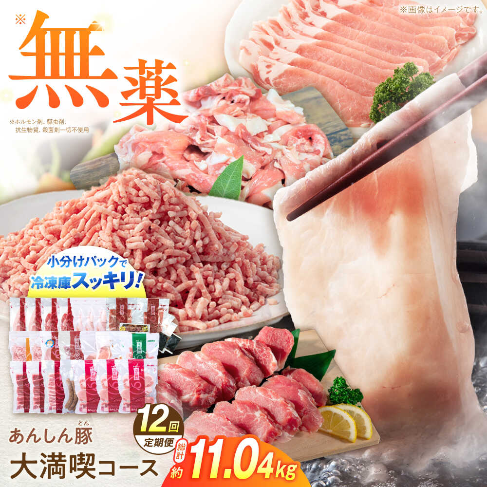 【ふるさと納税】【12回定期便】 あんしん豚 豚肉大満喫コース 計11.04kg ロース しゃぶしゃぶ テキカツ 小間切れ ミンチ 味付き ウインナー 豚 大容量 白川町 / 藤井ファーム[AWAF074]