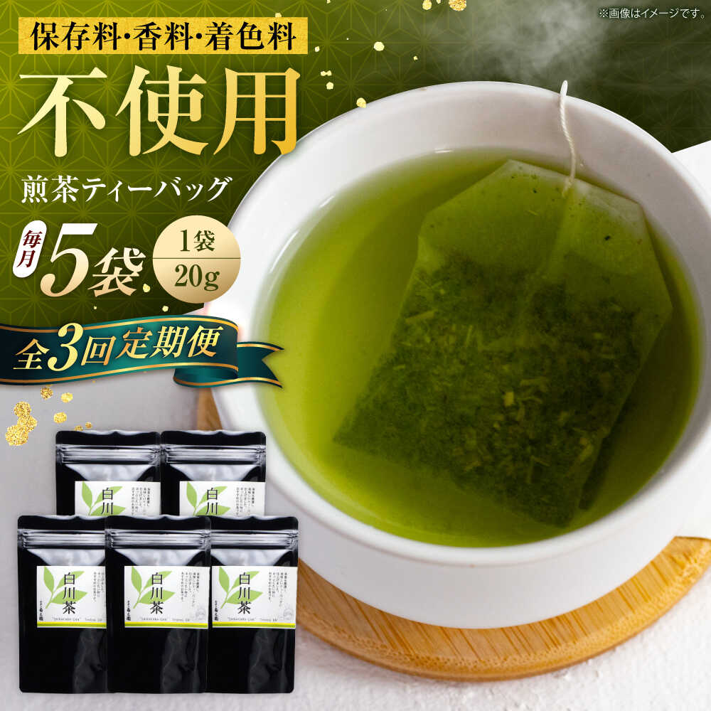 【ふるさと納税】【3回定期便】香る 煎茶 ティーバッグ 5袋セット お茶 国産 岐阜 白川町 / 菊之園[AWAG005]