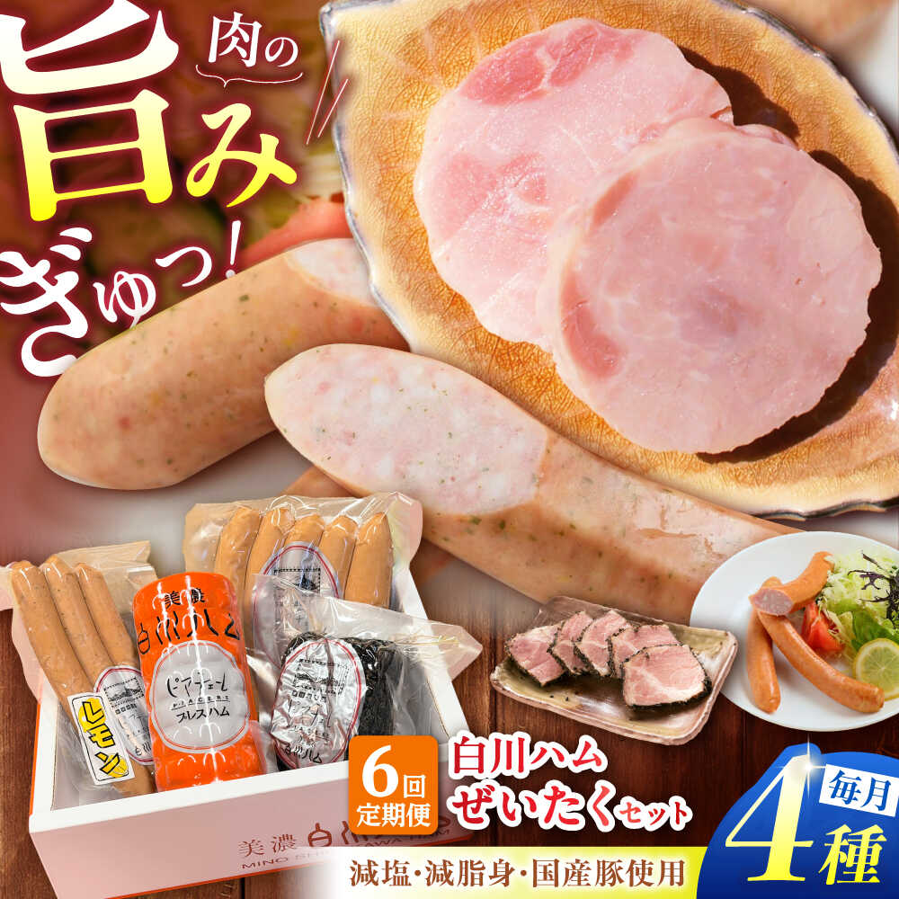 【ふるさと納税】【6回定期便】 美濃白川ハム 4種セット （ プレスハム ・ パストラミハム ・ ウインナー ・ レモンウインナー ） ハム プレスハム パストラミ ウインナー 詰め合わせ 白川町 / 白川町農業開発[AWAH022]