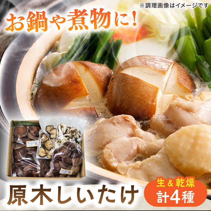 【ふるさと納税】原木しいたけ三昧セット 椎茸 国産 岐阜 白川町 / 清水しいたけ園[AWAY001]