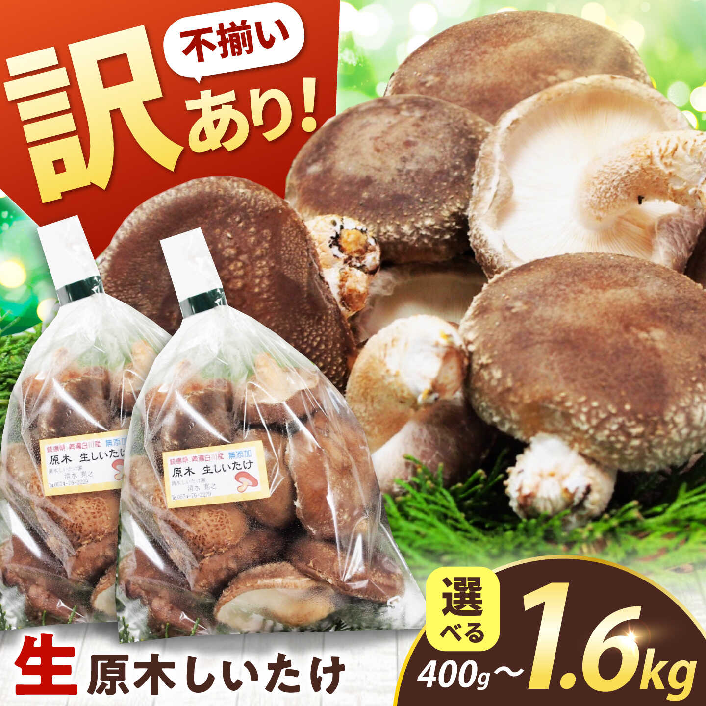 【ふるさと納税】【選べる容量】【訳あり】不揃い 原木しいたけ 400g～1.6kg（200g/袋）椎茸 しいたけ シイタケ 訳あり 国産 岐阜 白川町 / 清水しいたけ園[AWAY002]｜岐阜県白川町