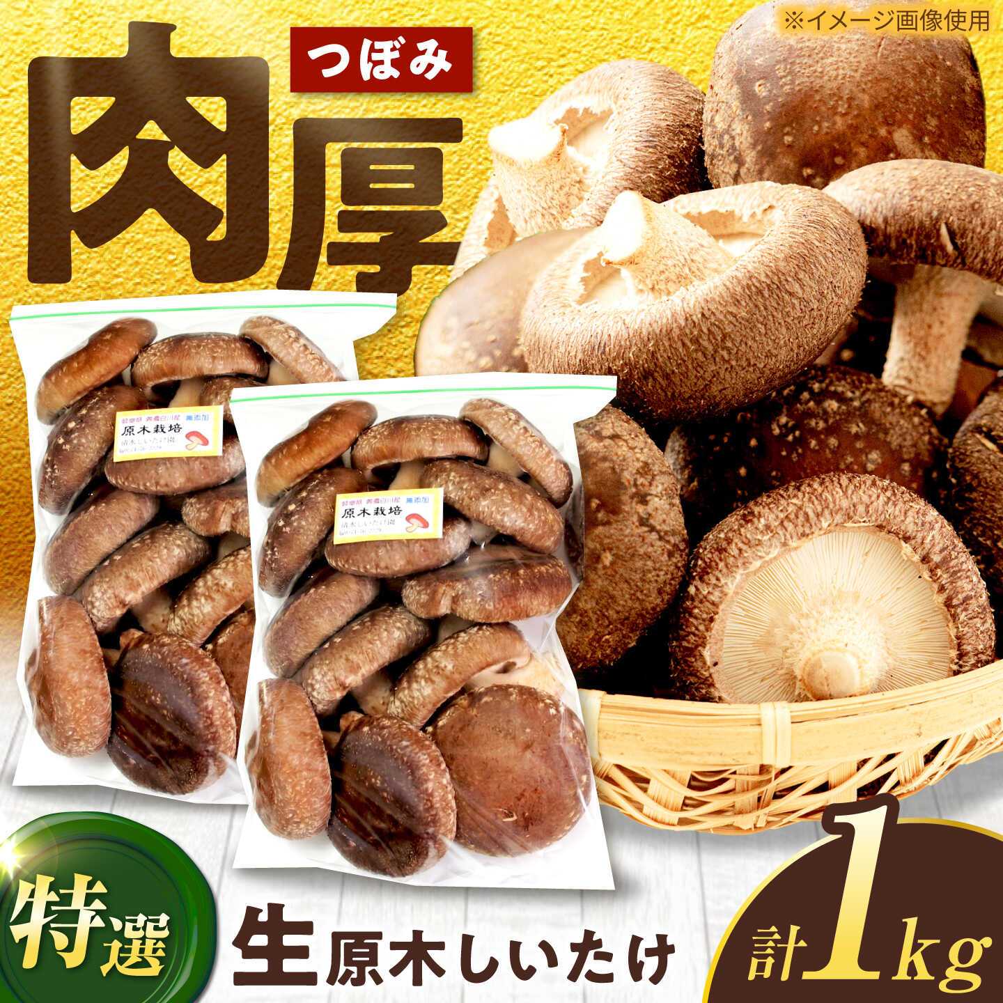 【ふるさと納税】【1月から3月に順次発送】特選生しいたけ つぼみ 1kg（500g&times;2袋）椎茸 しいたけ シイタケ 生 国産 岐阜 白川町 / 清水しいたけ園[AWAY005]｜岐阜県白川町