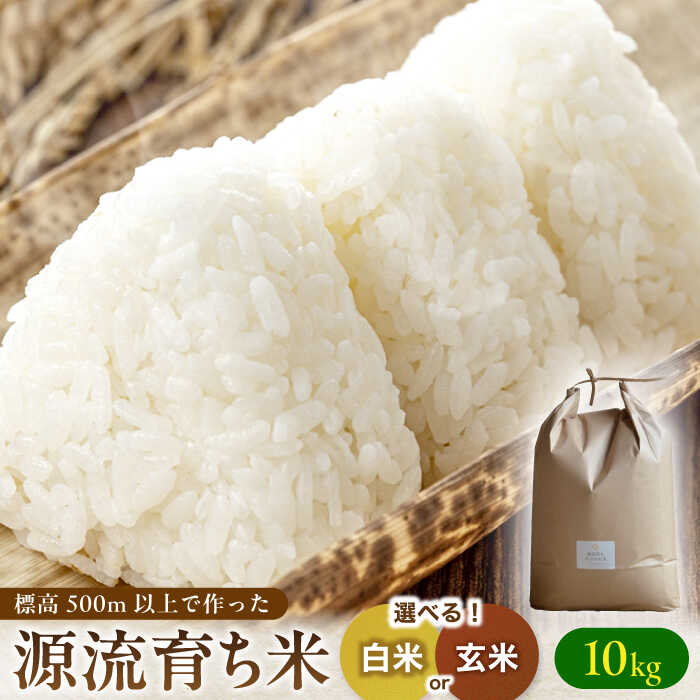 楽天市場】【ふるさと納税】環境農業のこなんまい 夢ごこち10kg