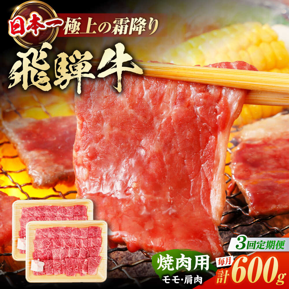 【ふるさと納税】【3回定期便】 飛騨牛 焼肉用 赤身 600g（300g×2）/ 焼肉 牛肉 和牛 定期便 肉 / 白川町 / 浅井商店[AWBJ012] 飛騨牛 岐阜県 銘柄牛 霜降り BBQ アウトドア モモ 肩 モモ肉 かた肉 スライス 小分け ギフト もも肉 ひだ牛 肉