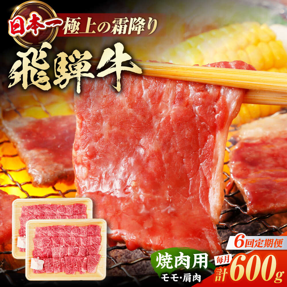 【ふるさと納税】【6回定期便】 飛騨牛 焼肉用 赤身 600g（300g×2）/ 焼肉 牛肉 和牛 定期便 肉 / 白川町 / 浅井商店[AWBJ013] 飛騨牛 岐阜県 銘柄牛 霜降り BBQ アウトドア モモ 肩 モモ肉 かた肉 スライス 小分け ギフト もも肉 ひだ牛 肉