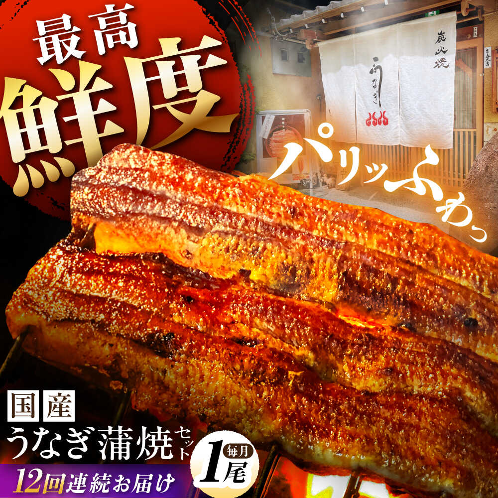 【ふるさと納税】【 12回 定期便 】 国産 うなぎ 蒲焼 1尾 約 130g 以上 計 12尾 タレ付き / うなぎ定期便 うなぎ蒲焼 たれ 人気 土曜 丑の日 お中元 お歳暮 贈答 食品 簡単調理 真空パック 鰻 ウナギ お取り寄せ グルメ ギフト うな重 お土産 白川町 / 多幸八[AWBL009]