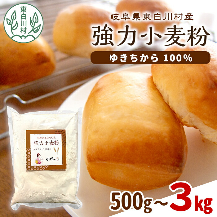 【ふるさと納税】内容量が選べる！ 強力小麦粉 ゆきちから 500g～3kg 岐阜県 東白川村産 ブランド小麦 国産 お取り寄せ 強力粉 小麦粉 パン パン作り 製パン 製パン材料 食パン ベーグル お菓子作り 麦 小麦 ホームベーカリー ふわふわ もっちり しっとり おためし 送料無料