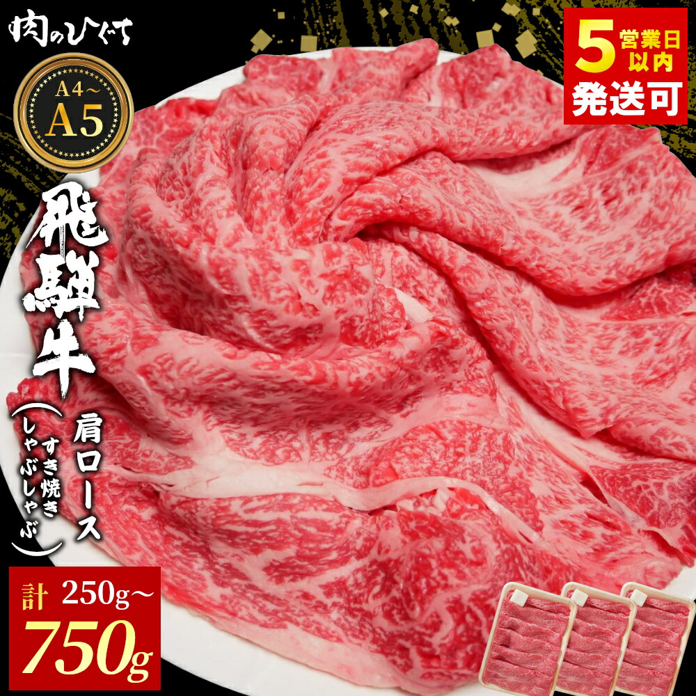 【ふるさと納税】 飛騨牛 肩ロース スライス 250g～750g A5 A4 A5等級 A4等級 すき焼き しゃぶしゃぶ 国産 牛 冷凍 和牛 牛肉 カタロース かた ロース ギフト 贈答 にく お肉 肉 霜降り 肉のひぐち 年内発送 【最速配送/発送時期が選べる】｜岐阜県東白川村