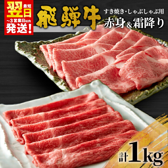 【ふるさと納税】 飛騨牛 赤身＆霜降り2種セット (すきしゃぶ用) 計1kg もも カタ ロース カタロース 肩ロース 牛肉 和牛 肉 すき焼き しゃぶしゃぶ 東白川村 岐阜 霜降り 赤身 鍋 養老ミート 【最速配送/発送時期が選べる】