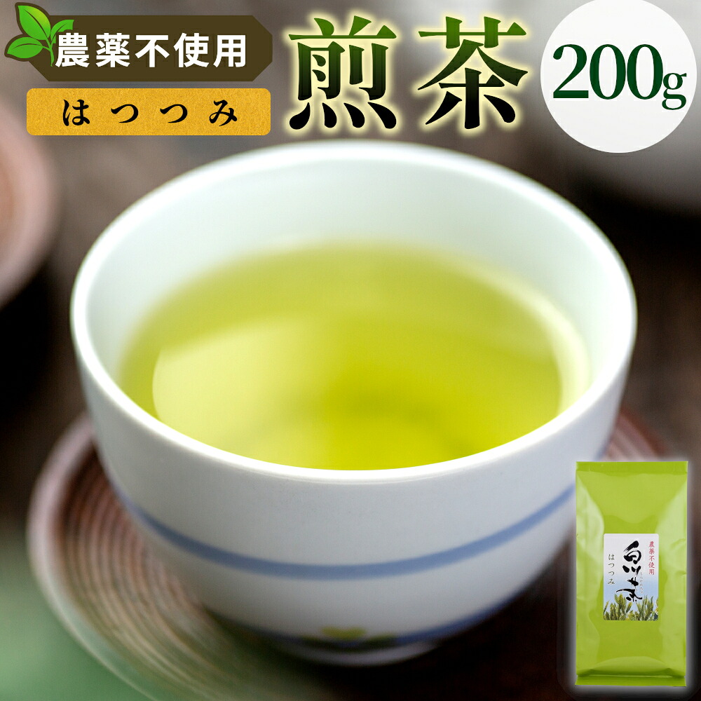 【ふるさと納税】農薬不使用！煎茶 はつつみ 200g 常磐園 白川茶 美濃白川茶 日本茶 緑茶 煎茶 茶葉 お茶 一番茶 春摘み リーフ 国産 お試し 岐阜県 東白川村 走り新茶｜岐阜県東白川村