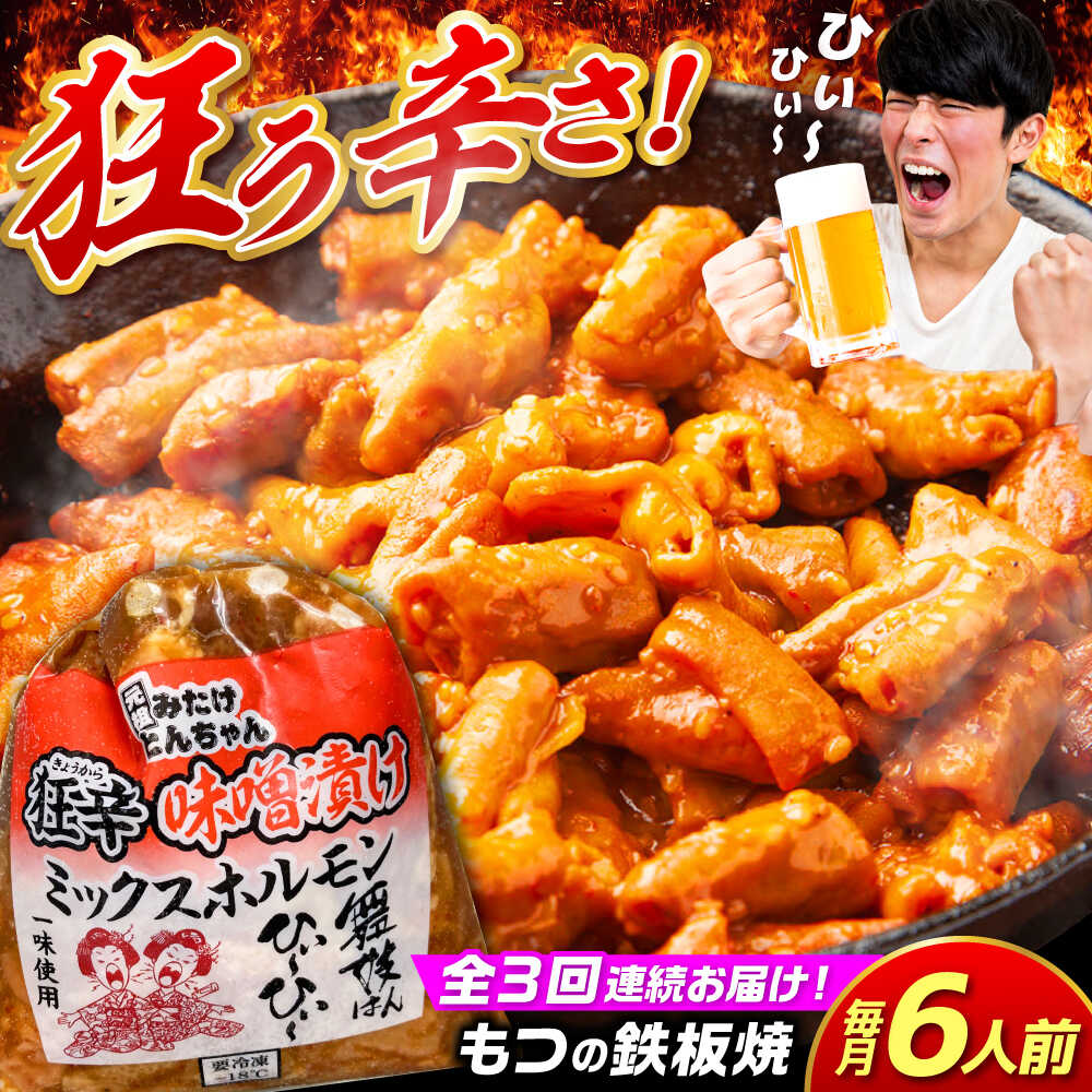 【ふるさと納税】【3回定期便】 「元祖みたけとんちゃん」 狂辛 味噌漬け ミックスホルモン 3袋 / モツ もつ 白もつ ホルモン 辛口 / 御嵩町 / 藤よし[AVAA067]
