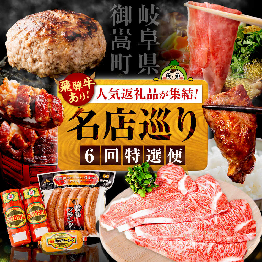 【ふるさと納税】【6回定期便】御嵩町の名店横断！贅沢バラエティ便 / 飛騨牛 鰻 ハラミ 明方ハム ハンバーグ / 岐阜県 御嵩町[AVBM018]