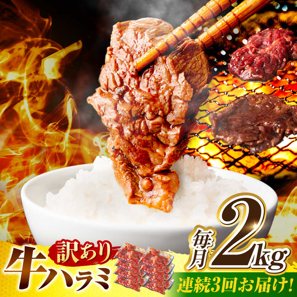 【ふるさと納税】【3回定期便】【訳あり】味付けハラミ 2kg(250ｇ×8パック) / ハラミ 牛肉 焼肉 / 御嵩町 / 馬力家[AVBO048] 39,000円