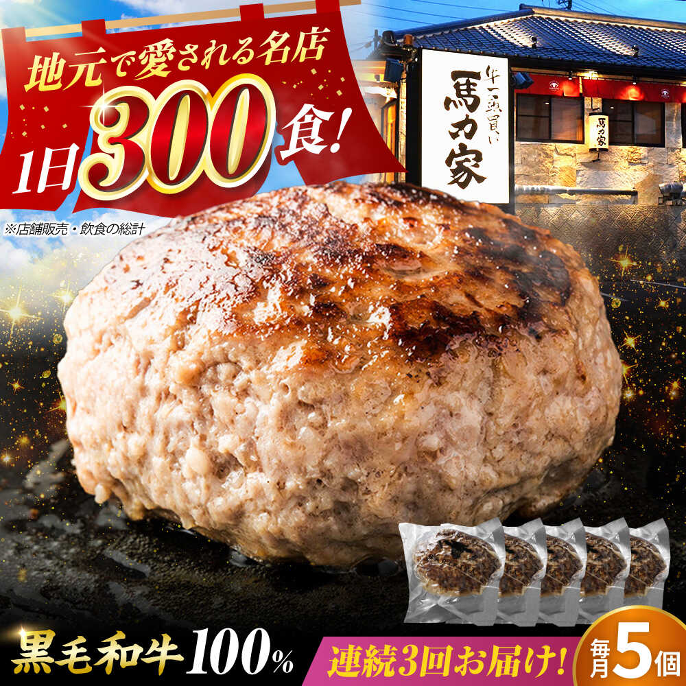 【ふるさと納税】【3回定期便】超ハンバーグ ミニ 5個 / 肉 牛肉 ハンバーグ / 御嵩町 / 馬力家[AVBO066]｜岐阜県御嵩町