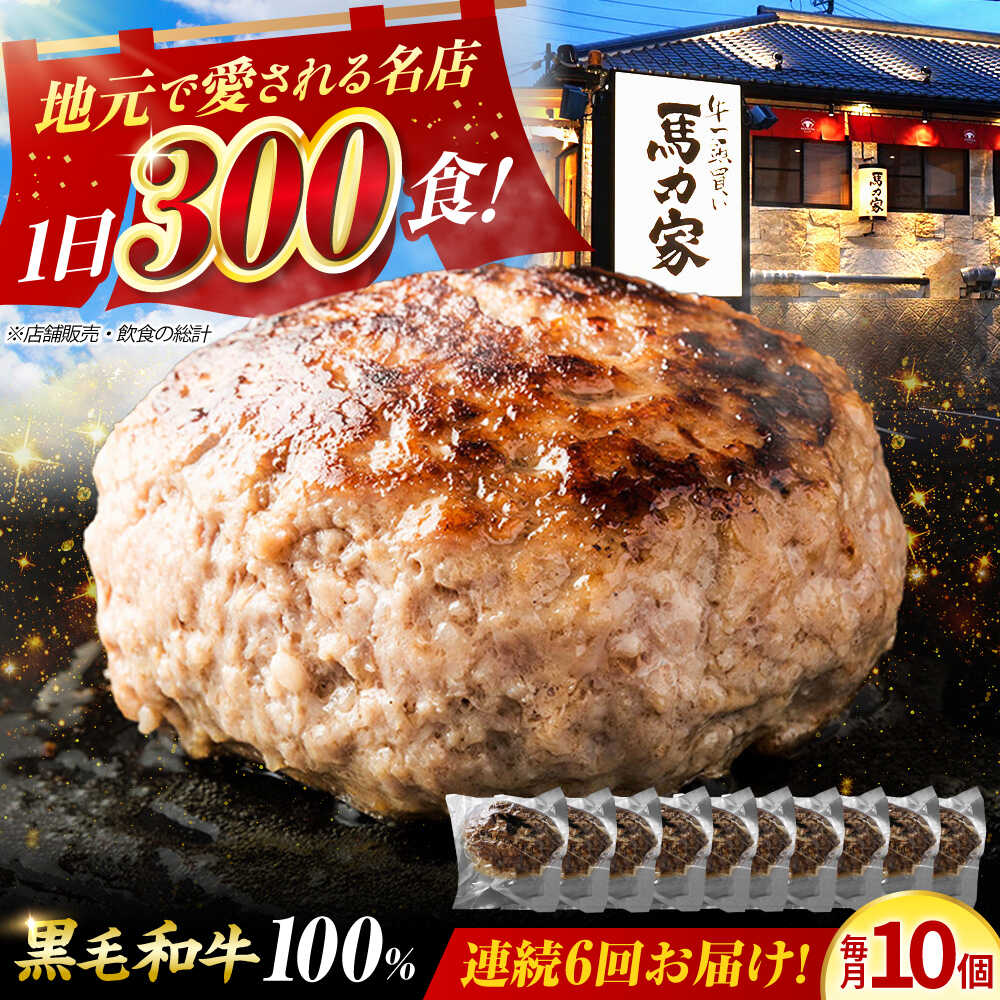 【ふるさと納税】【6回定期便】超ハンバーグ ミニ 10個 / 肉 牛肉 ハンバーグ / 御嵩町 / 馬力家[AVBO070]｜岐阜県御嵩町