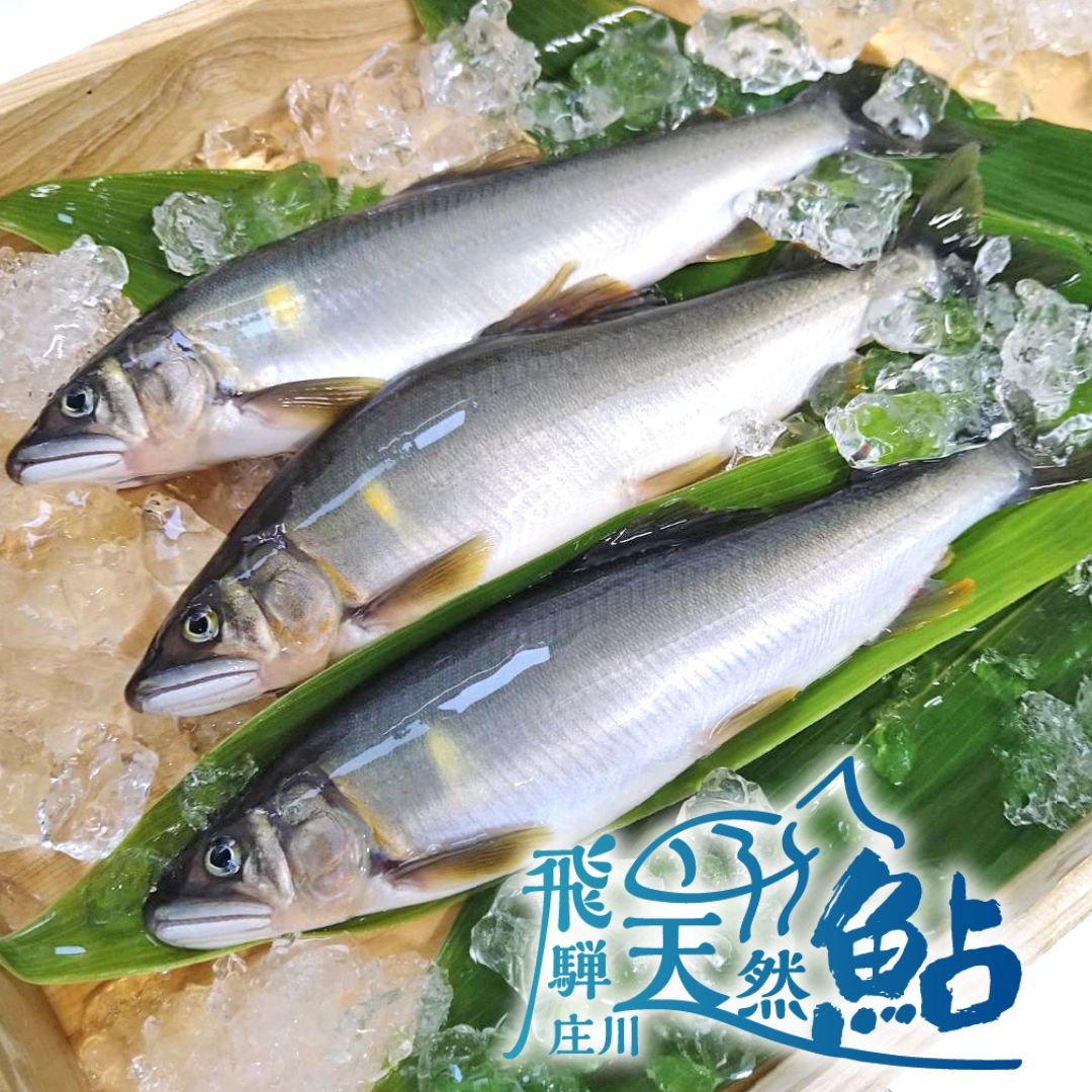 【楽天市場】【ふるさと納税】≪選べる≫ 飛騨庄川の天然鮎 白川村産 尾数が選べる 2尾 4尾 6尾 8尾 12尾 18cm以上 鮎 天然 あゆ 魚 川魚 岐阜県 白川郷 世界遺産 塩焼き BBQ 6000円 10000円 15000円 20000円 30000円:岐阜県白川村