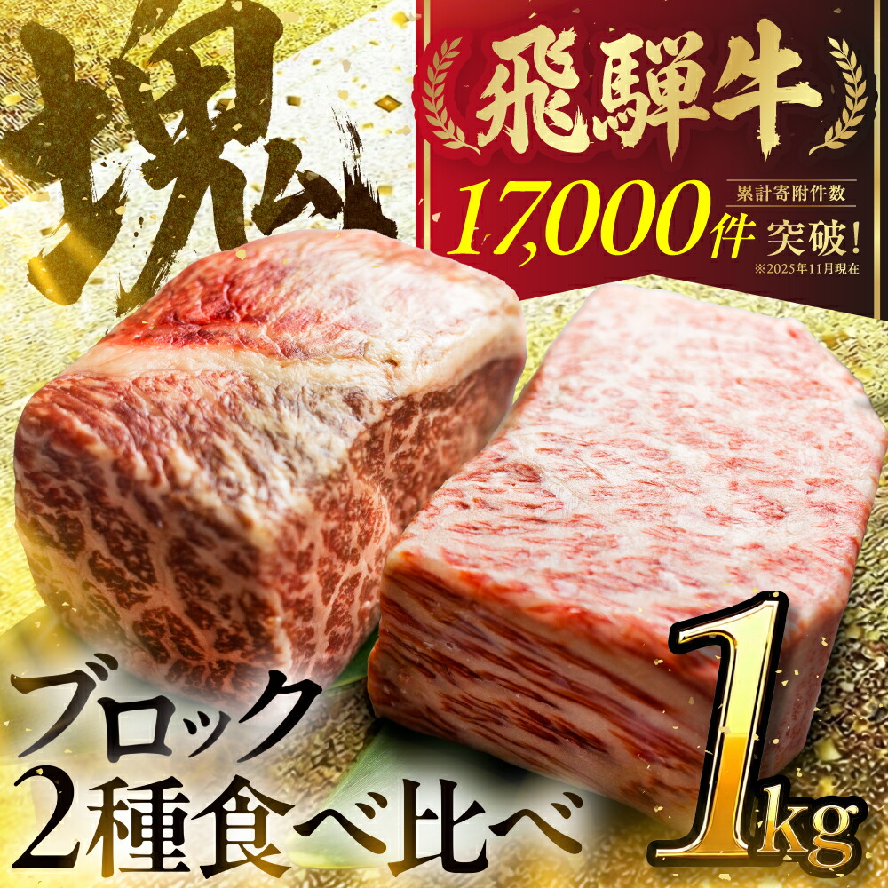 【ふるさと納税】人気急上昇 飛騨牛 ブロック肉 1kg 発送月が選べる 牛肉 ローストビーフ ステーキ 霜降り 赤身 500g JA飛騨 ひだ 肉 食べ比べ 訳あり 訳アリ 部位お任せ 不揃い 規格外 真空パック 黒毛和牛 BBQ 焼肉 キャンプ 人気 ランキング 白川村 [S090]｜岐阜県白川村
