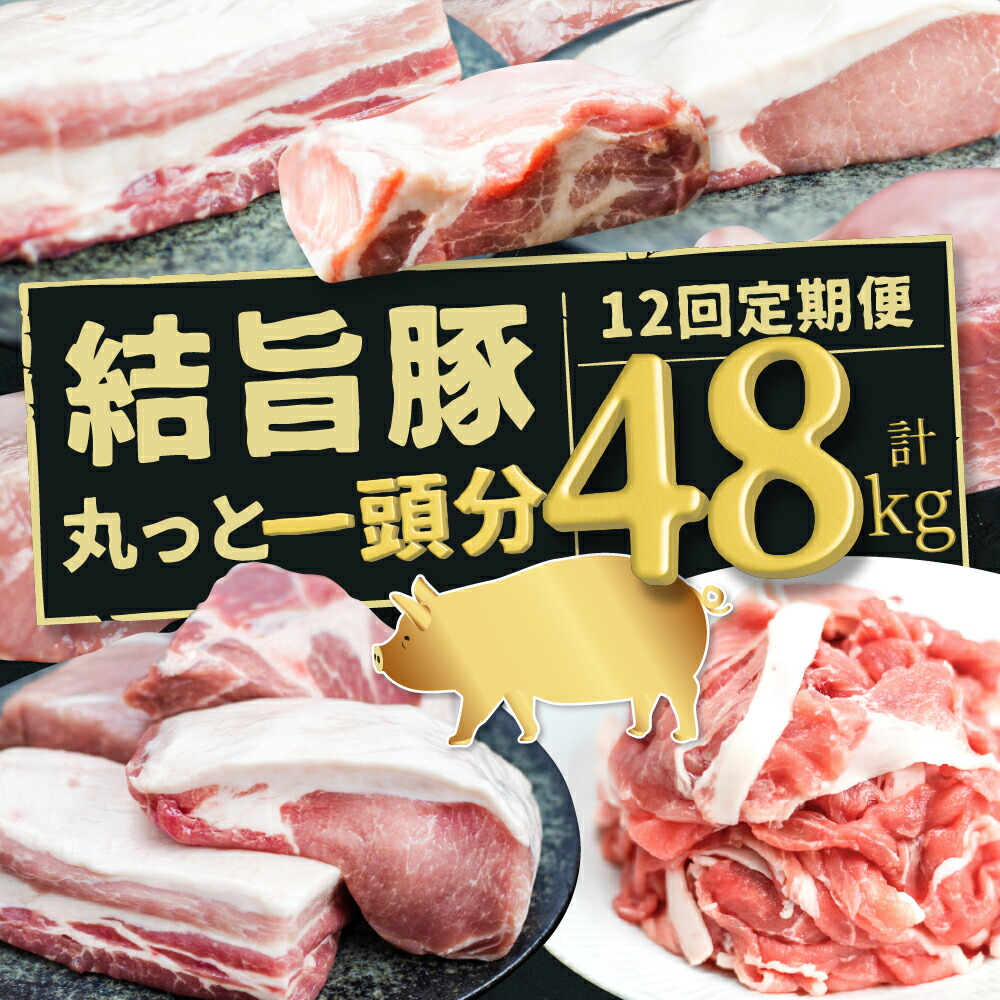 【ふるさと納税】 《定期便》結旨豚 丸っと一頭分 12回 定期便 約1頭分のお肉 豚肉 食べ比べ 48kg 毎月 4kg [S946]｜岐阜県白川村