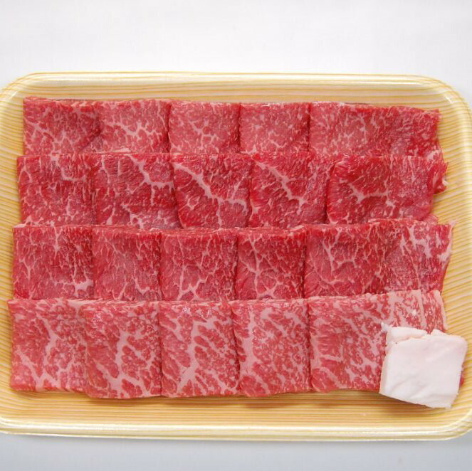 安い購入 飛騨牛 焼肉用 もも肉 1kg Jaひだ q ギフト S108 岐阜県白川村w 高知インター店 Feelgoodsongs Fun