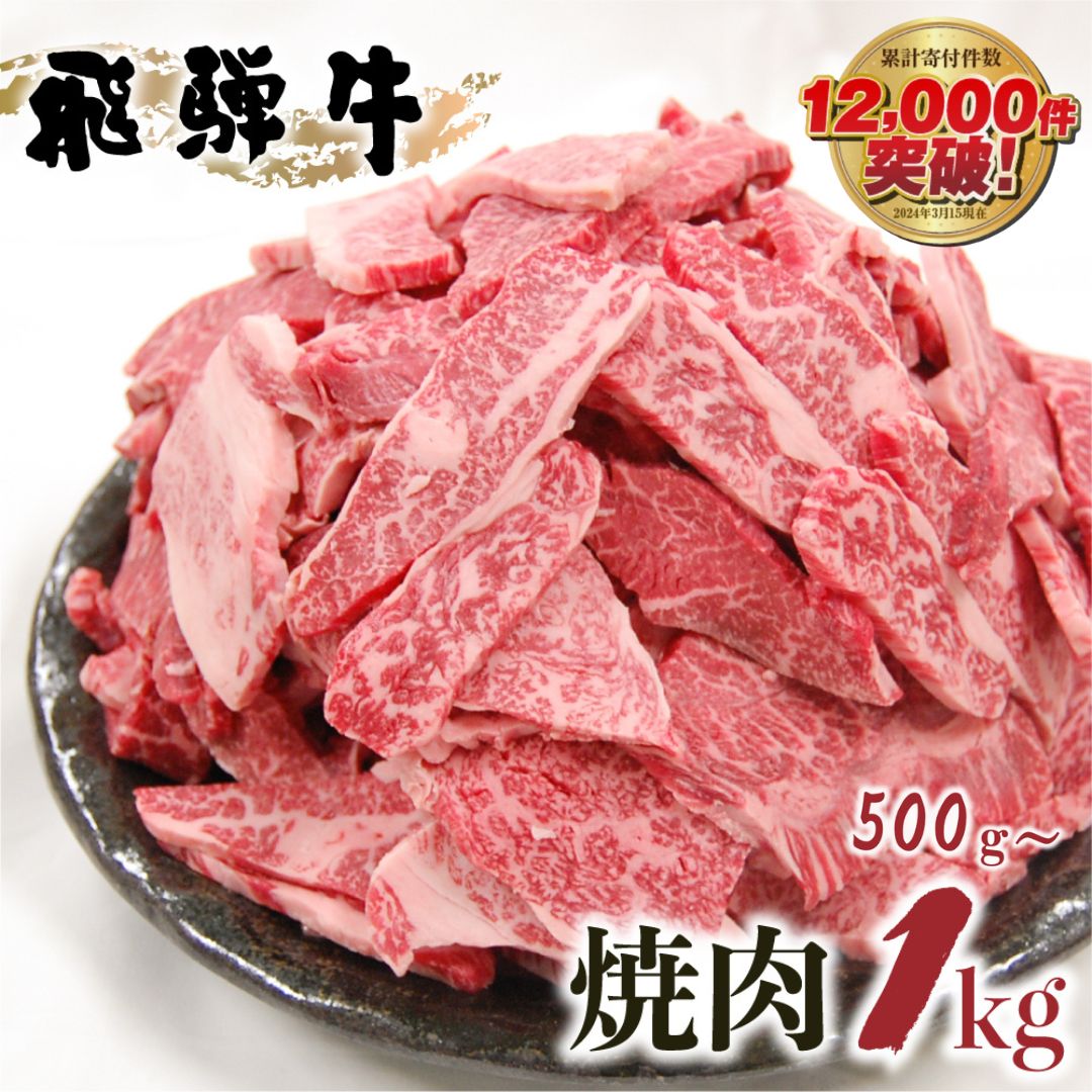 【ふるさと納税】飛騨牛 焼肉 500g 1kg 発送月が選べる 訳あり 訳アリ 不揃い カルビ 牛肉 肉 お肉 バーベキュー BBQ 和牛 贈答 ギフト 焼き肉 切り落とし わけあり 規格外 ワケアリ14000円 25000円 おすすめ 人気 ランキング 岐阜県 白川村 [S201]