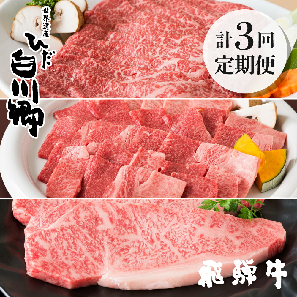 海外最新 楽天市場 ふるさと納税 定期便 飛騨牛 定期便 3ヶ月 3回お届け ごちゃまぜ 焼肉 すき焼き ステーキ しゃぶしゃぶ 和牛 肉 霜降り 赤身 セット 食べ比べ S159 岐阜県白川村 人気ショップが最安値挑戦 Blog Belasartes Br