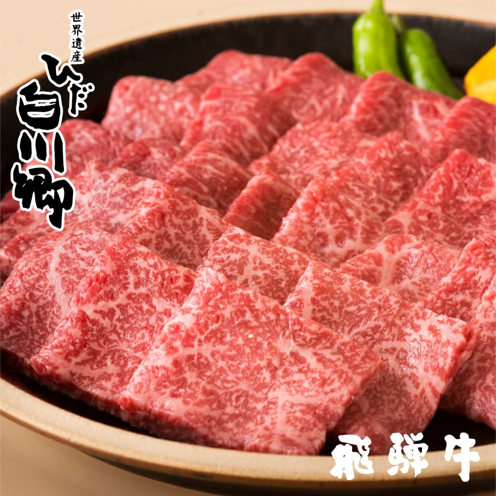 激安特価 飛騨牛029(お肉)箱[結い] 合計600g 焼肉 切り落とし 詰め合わせ 200g×3 小分け 敬老の日 ギフト 牛肉 黒毛和牛  バーべキュー BBQ[S040] 注目ブランド -madah.kemdikbud.go.id