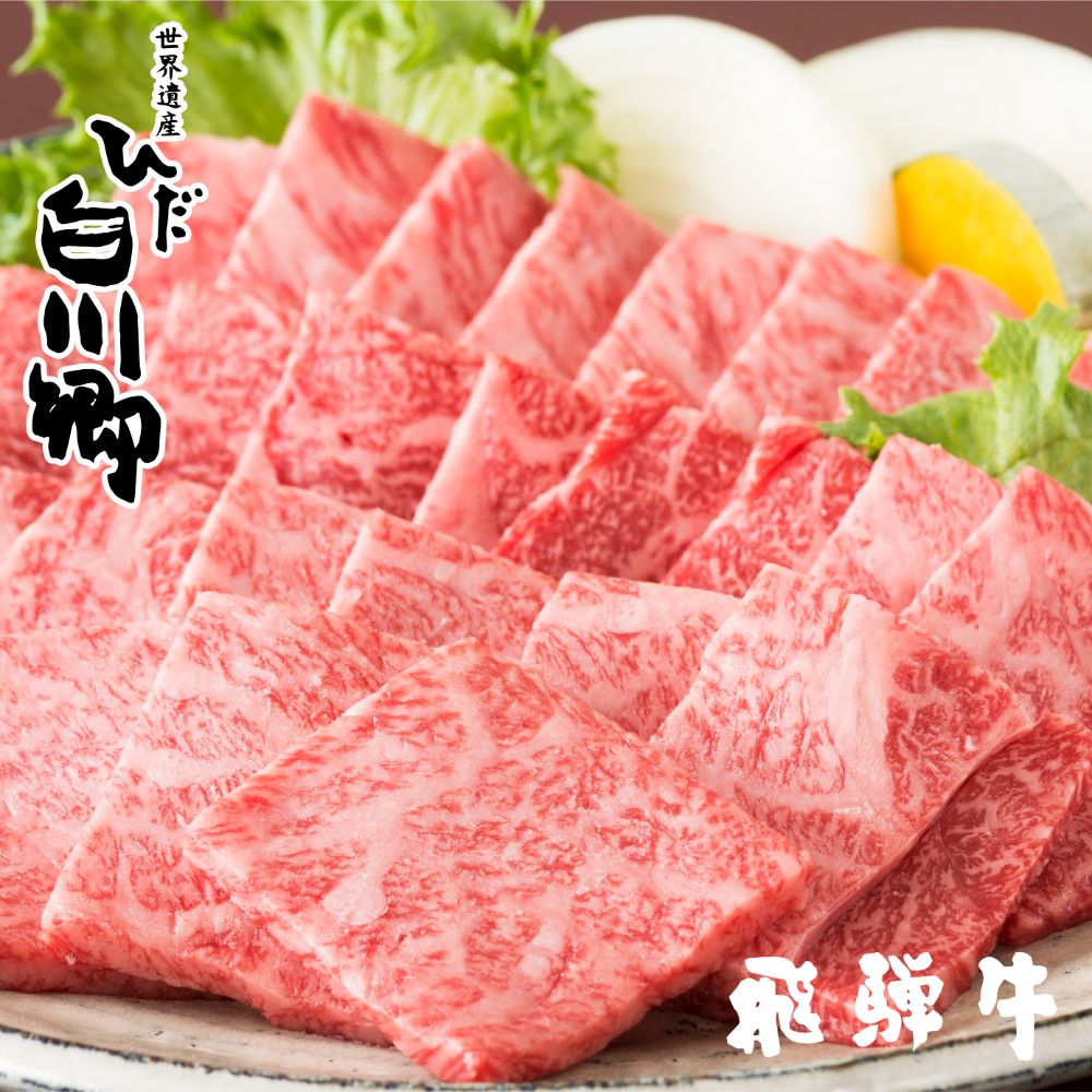 送料無料 ふるさと納税 飛騨牛 029 お肉 箱 合掌 合計600g 焼肉 希少部位 詰め合わせ 0g 3 小分け 黒毛和牛 お歳暮 ギフト 冬ギフト バーベキュー q S041 即納 最大半額 Lexusoman Com