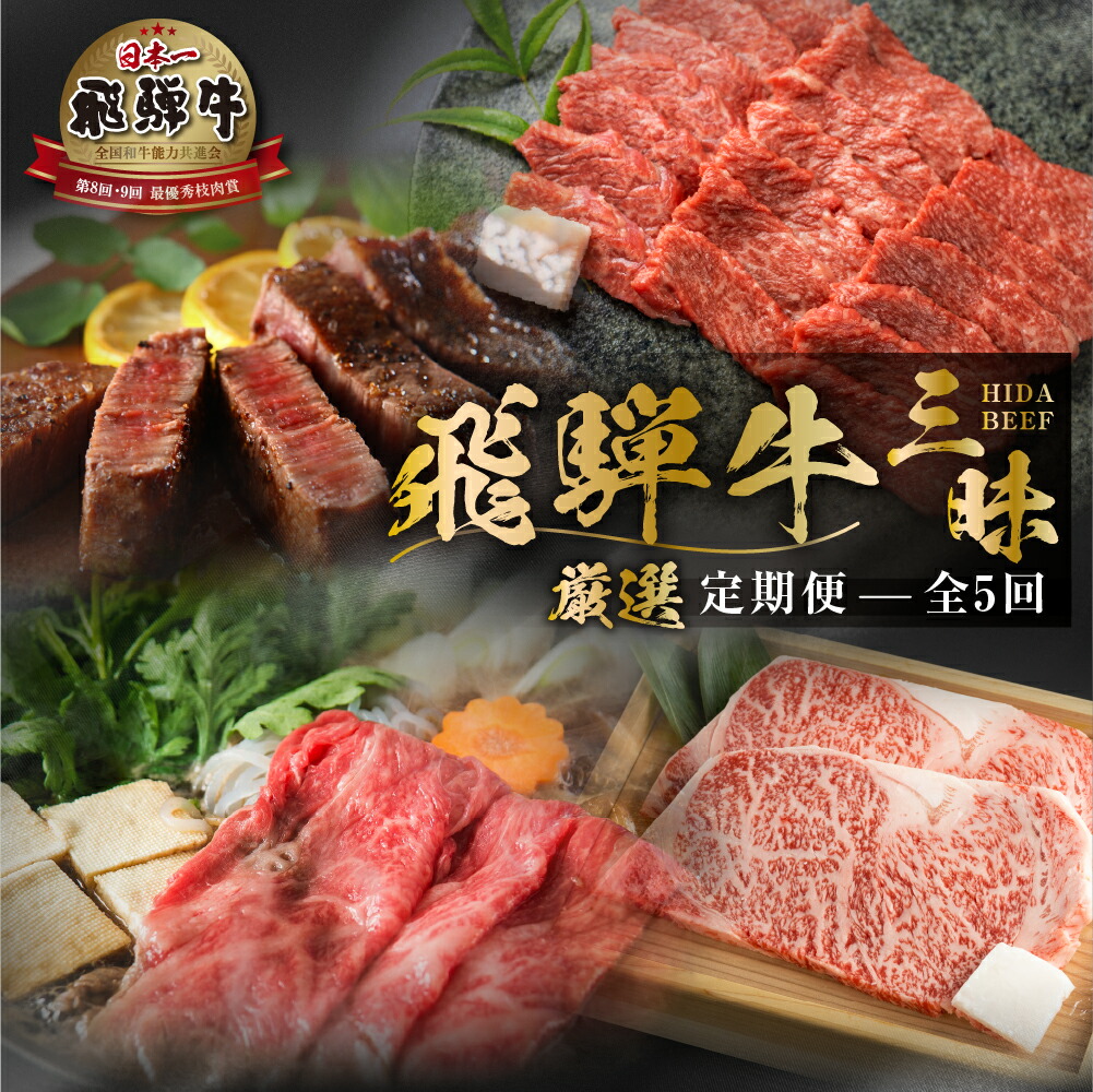【ふるさと納税】《まるごと定期便》5回  厳選 お届け 飛騨牛 三昧 肉 肉づくし 白川郷 もも肉 切り落とし サーロイン ステーキ しゃぶしゃぶ すき焼き100000円 10万円 国産 焼肉 カルビ バラ 牛肉 A4 A5 肩 ロース 焼肉 赤身 霜降り 食べ比べ 岐阜県 白川村 お楽しみ [S526]