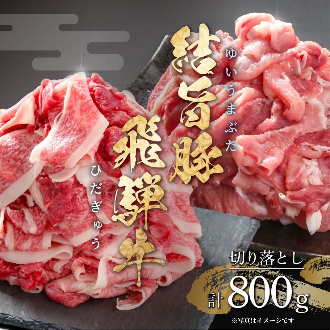 【ふるさと納税】訳あり 飛騨牛 切落とし 300g（150g×2パック）結旨豚 切落し 500g 冷凍真空パック | 肉 お肉 切り落とし すき焼き すきやき 黒毛和牛 和牛 個包装 小分け 人気 おすすめ 牛肉 豚肉 食べ比べ セット ギフト お取り寄せ【MS018】