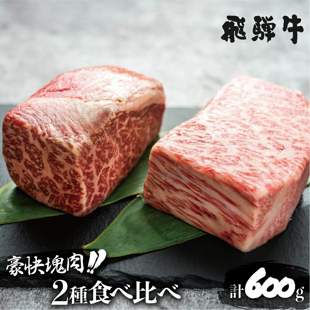 【ふるさと納税】飛騨牛 ブロック肉 [塊] (霜降り / 赤身 2種 牛肉 計600g)  食べ比べ ステーキ ローストビーフ に最適 訳あり 部位お任せ  真空パック 肉  バーベキュー BBQ bbq 焼肉 焼き肉 キャンプ 20000円 2万円  [S046]