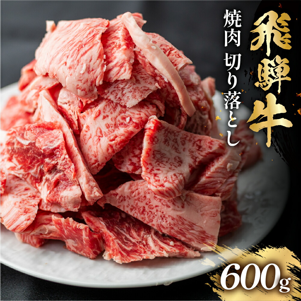 【ふるさと納税】飛騨牛 焼肉 600g 訳あり 牛肉 肉 和牛 A5 A4 切り落とし カルビ 不揃い ギフト 贈答 焼き肉 BBQ バーベキュー お取り寄せ グルメ 岐阜県 白川村 駿河屋 15000円 母の日 父の日 お中元 お歳暮 御祝 [S767]｜岐阜県白川村