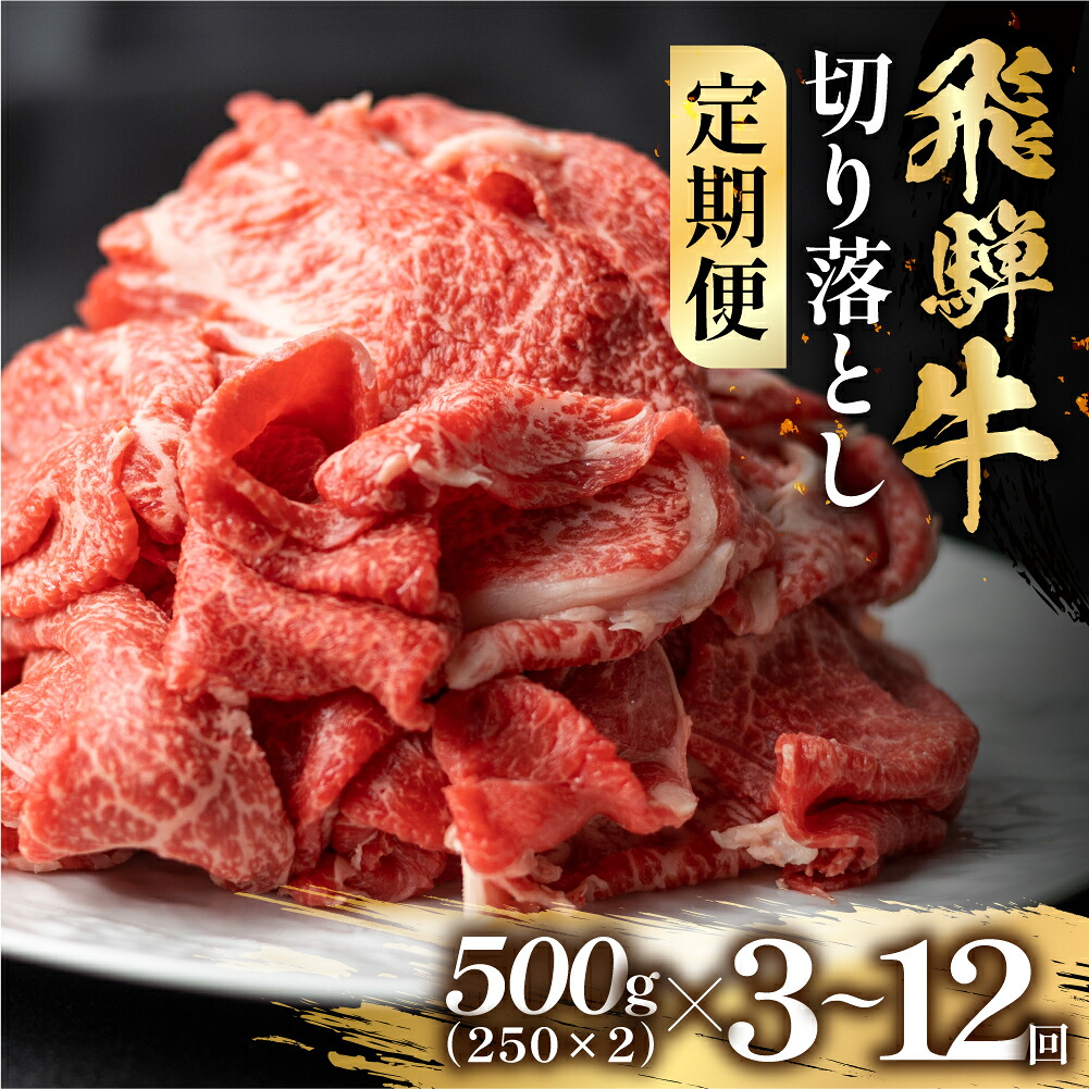 【ふるさと納税】【定期便】全3回or全6回or全12回　飛騨牛 切り落とし 500g スライス 切落し 和牛 すき焼き すきやき 鍋 訳あり 訳アリ 不揃い 肉 お肉 にく 切り落とし 牛肉 おすすめ ワケアリ 駿河屋 岐阜県 白川村 30000円 [S952]｜岐阜県白川村