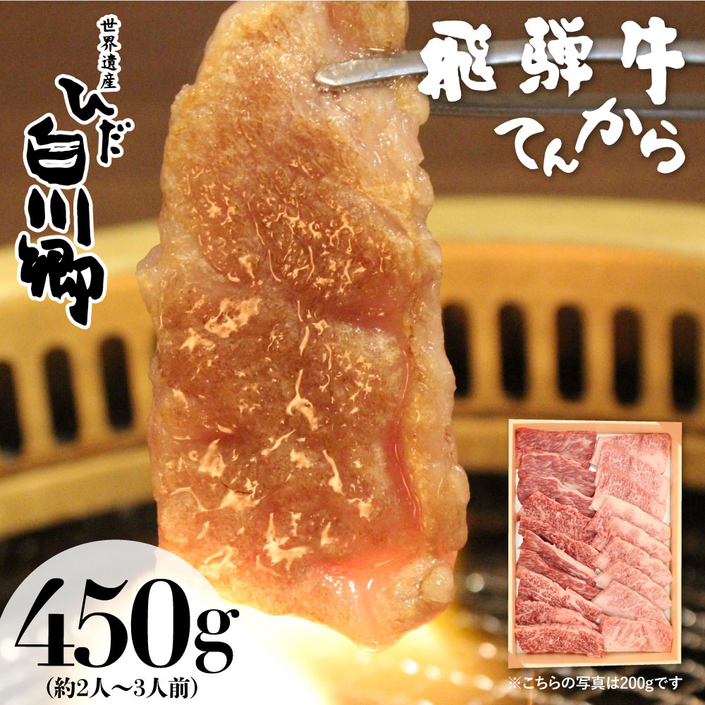 ふるさと納税 最高級 飛騨牛カルビ焼肉用 450g A5 等級 白川郷 てんから S174 白川郷で人気の焼肉店のお肉をご自宅で qにも Bixahuman Com