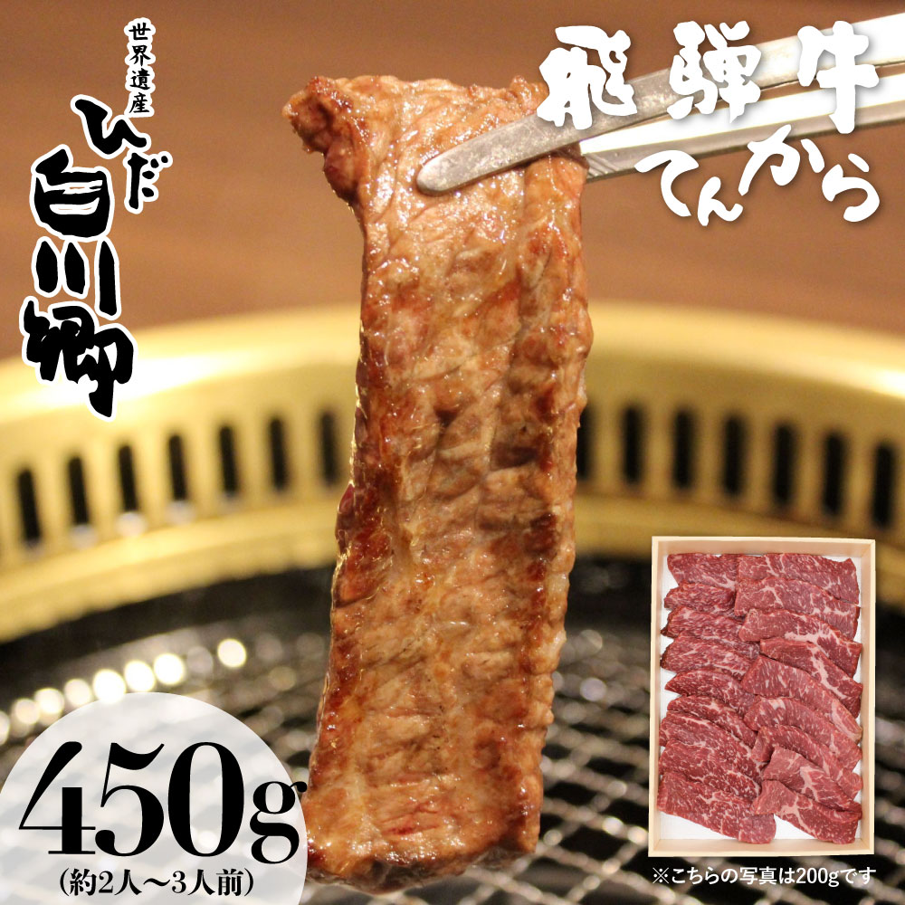 ふるさと納税 最高級 飛騨牛もも焼肉用 450g A5 等級 白川郷 てんから S176 白川郷で人気の焼肉店のお肉をご自宅で qにも 予めご了承くださいませ 返礼品の変更 Volleybalcluboegstgeest Nl