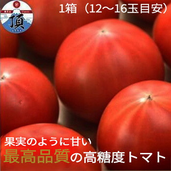 【ふるさと納税】高糖度トマト「アメーラ」１箱 | 野菜 トマト 甘み 静岡産 通年 やさい 食品 人気 おすすめ 送料無料