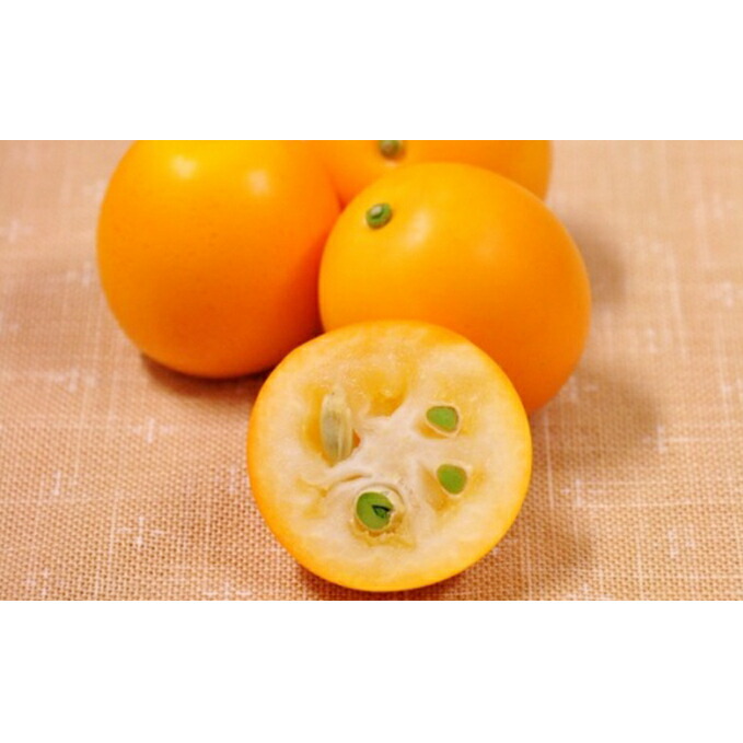 ふるさと納税 22年算2月灯かり中旬一倍順次送りこむ 上々に緩やか金柑 清水のこん太 果物部類 柑橘類 フルーツ 果物類 みかん 柑橘類 お届け 22年2月中旬 3月中旬 Lapsonmexico Com