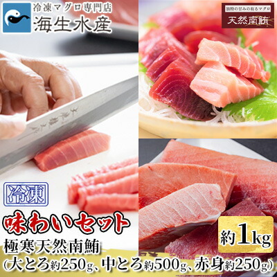 【ふるさと納税】冷凍 鮪 極寒 天然 南鮪 味わいセット（大とろ・中とろ・赤身）静岡市 天然 まぐろ トロ マグロ 厳選 海生水産 海の幸 | 刺身 生食用 肴 つまみ お酒のあて 寿司ネタ 寿司