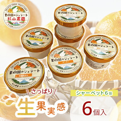 【ふるさと納税】果樹園のジェラート 夏にさっぱりシャーベット6個セット 100ml&times;6個 冷凍 ギフト アイスクリーム シャーベット□ | スイーツ ひんやりスイーツ フルーツジェラート みかん オレンジ レモン いちご｜静岡県静岡市