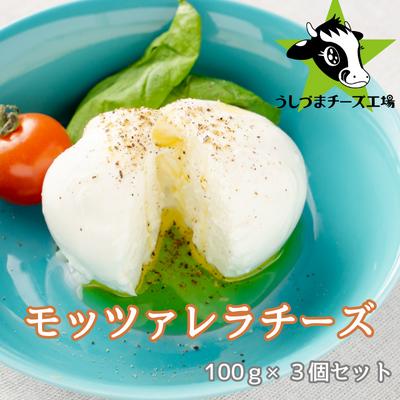 【ふるさと納税】うしづまチーズ工場の、モッツァレラチーズ3個セット！ ナチュラルチーズ 静岡 牛妻■ | 加工食品 乳製品 職人手作り 弾力 濃厚 カプレーゼ トースト モッツァレラ チーズ